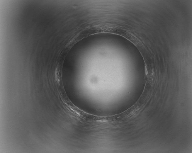 X0000073441010200608181207