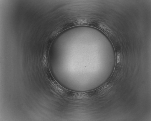 X0000073441011200608181207