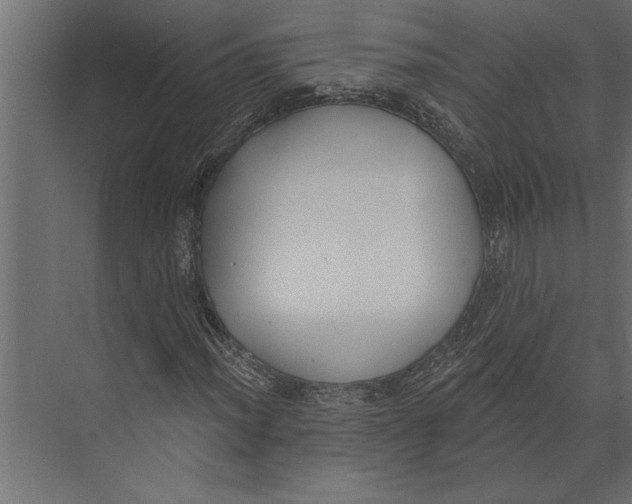 X0000073441012200608181207