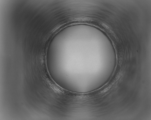 X0000073441017200608181207
