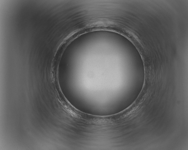 X0000073441018200608181207