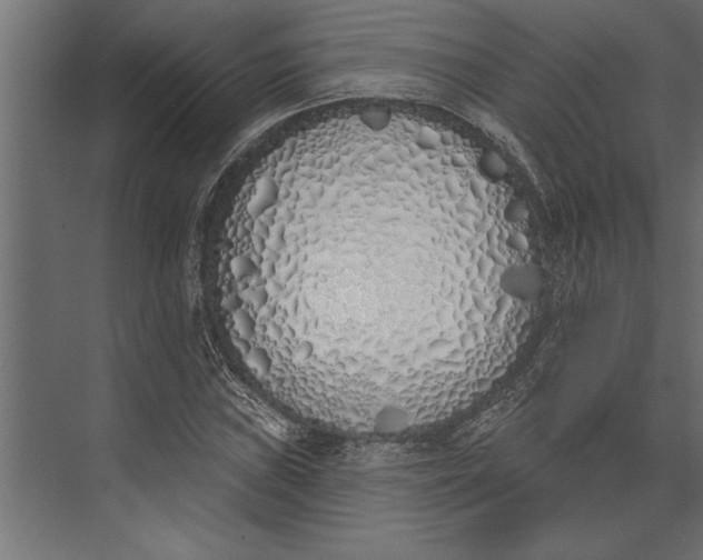 X0000073441019200608181207