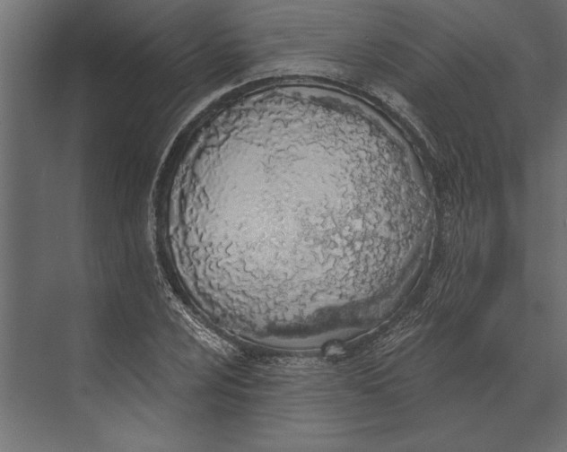 X0000073441024200608181207