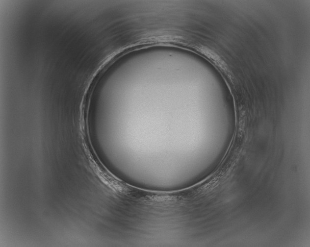 X0000073441031200608181207