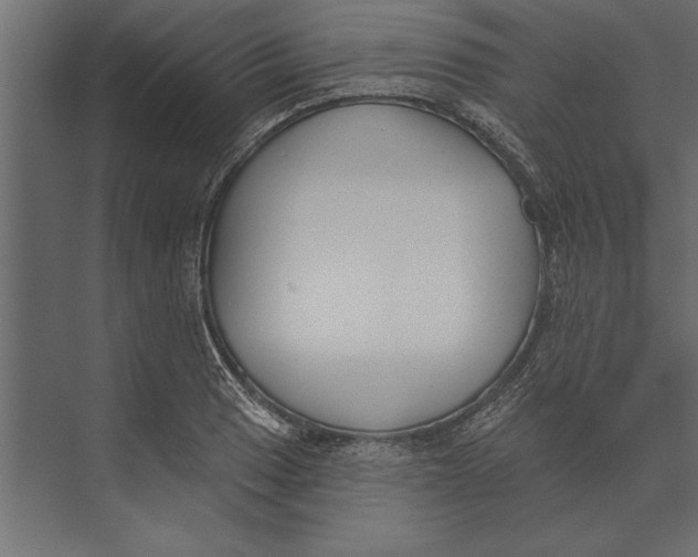 X0000073441033200608181207