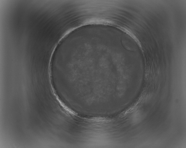 X0000073441037200608181207