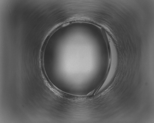 X0000073441038200608181207