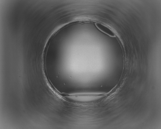 X0000073441045200608181207