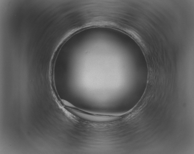 X0000073441046200608181207