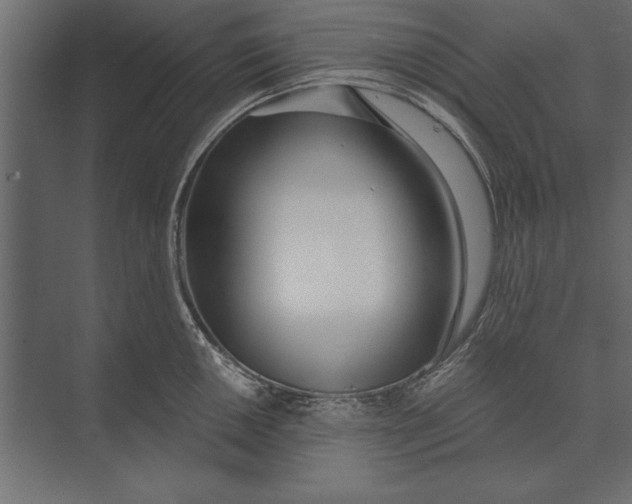 X0000073441050200608181208