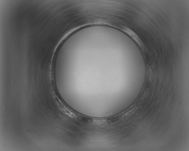 X0000073441052200608181208