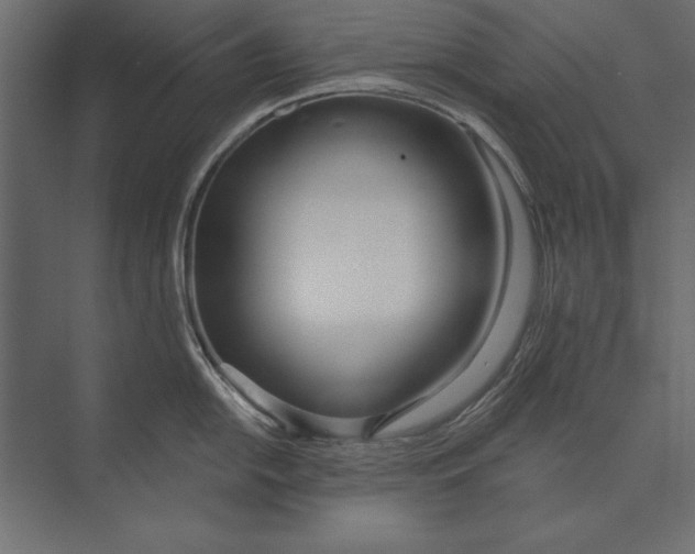 X0000073441054200608181208