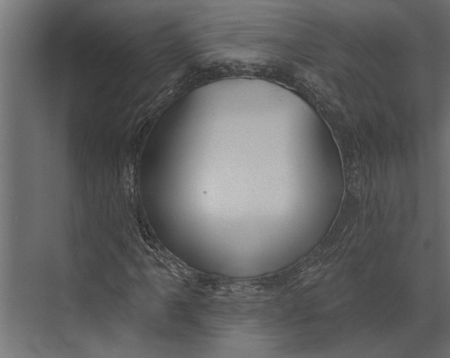 X0000073441061200608181207