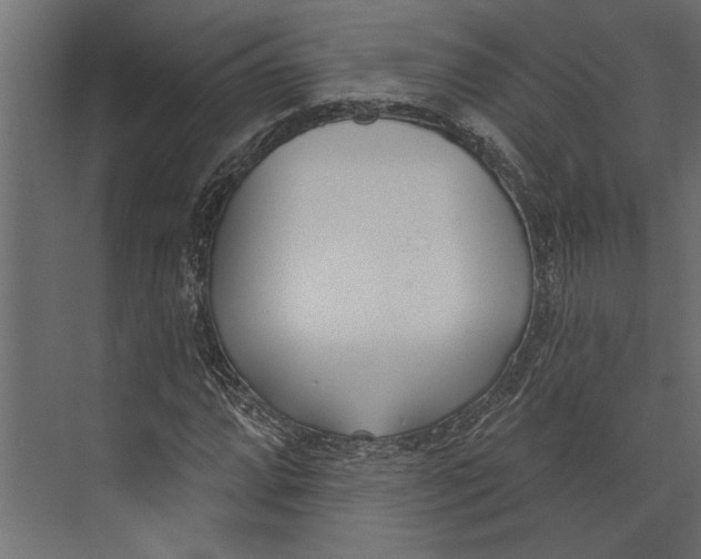 X0000073441064200608181207