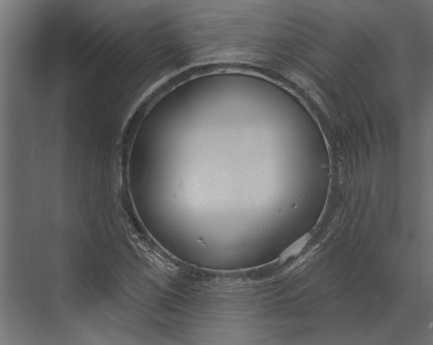 X0000073441069200608181207