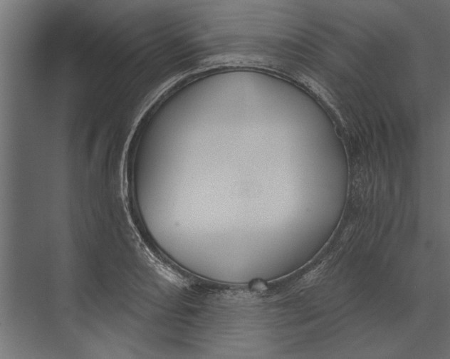 X0000073441082200608181206