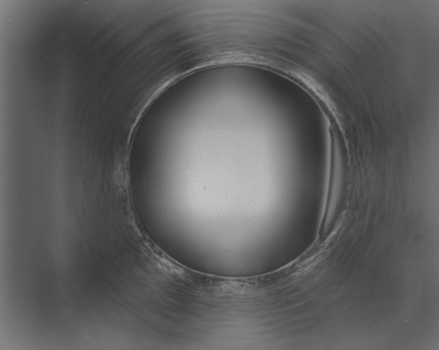 X0000073441097200608181206