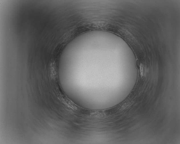 X0000073441107200608181205