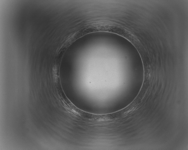 X0000073441108200608181205