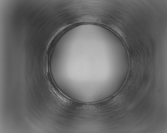 X0000073441123200608181206