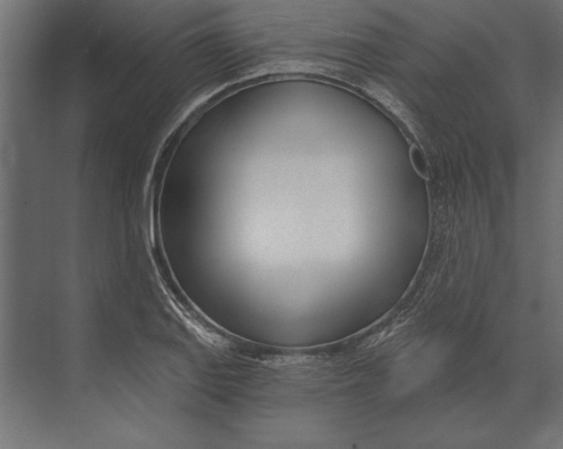 X0000073441127200608181206