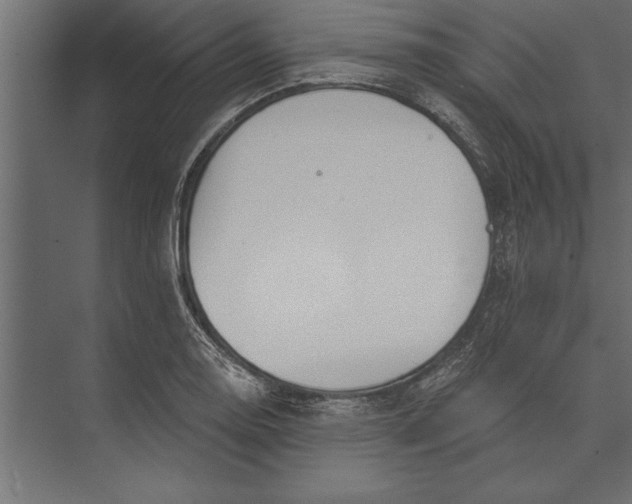 X0000073441130200608181206