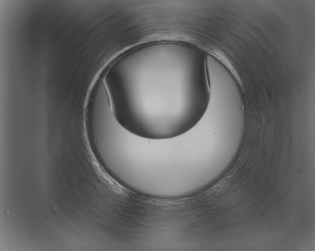 X0000073441132200608181206