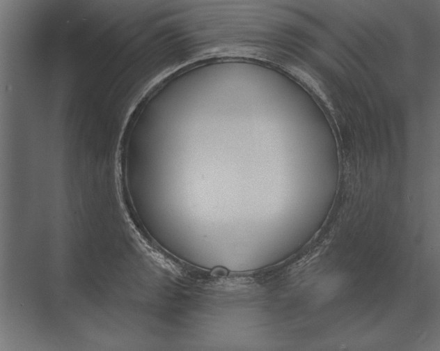 X0000073441133200608181206