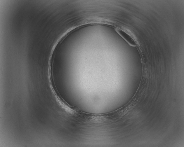 X0000073441136200608181206