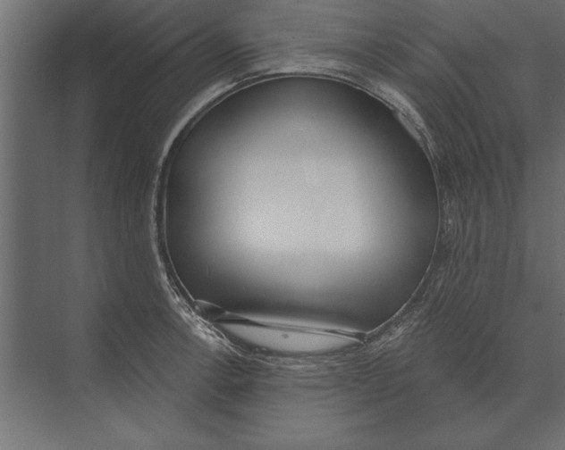 X0000073441138200608181206