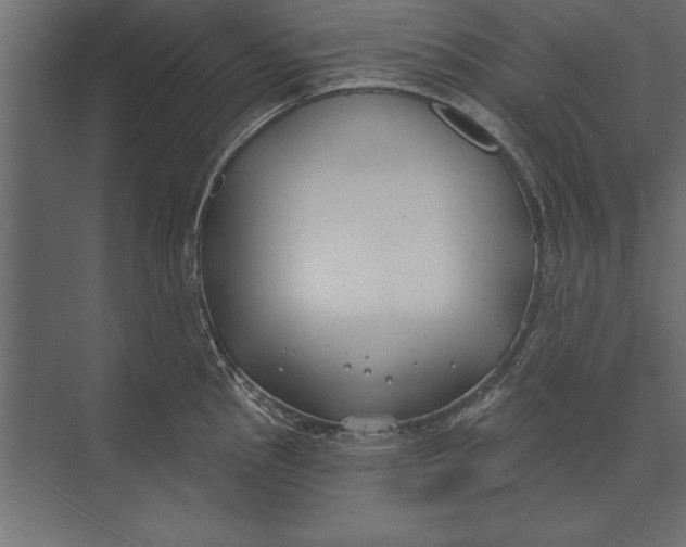 X0000073441145200608181206