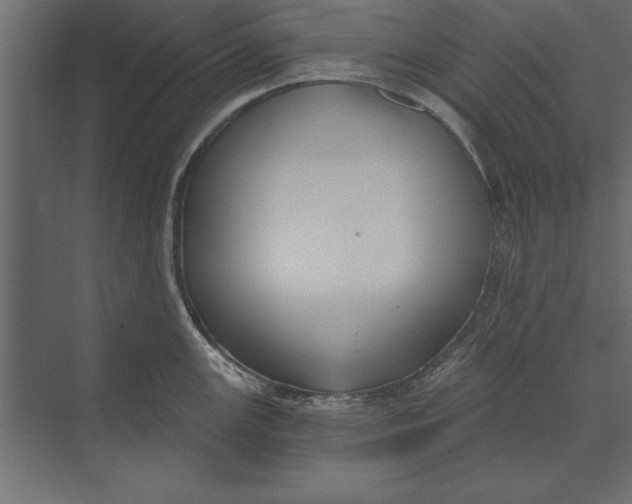 X0000073441147200608181206