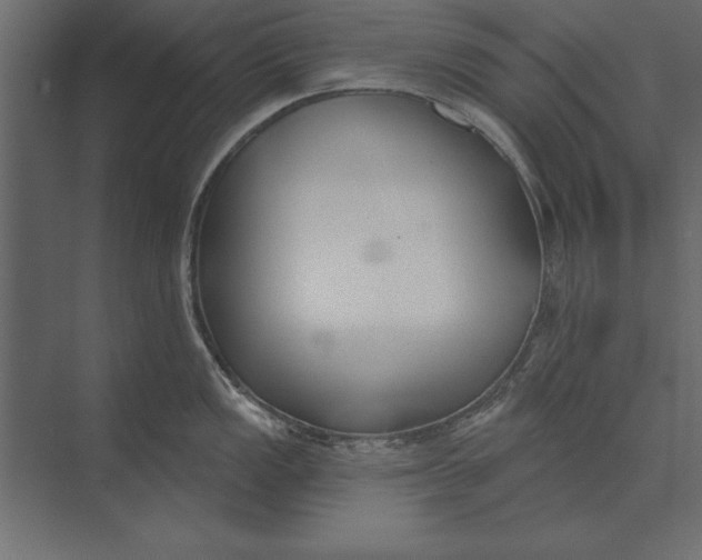X0000073441149200608181206