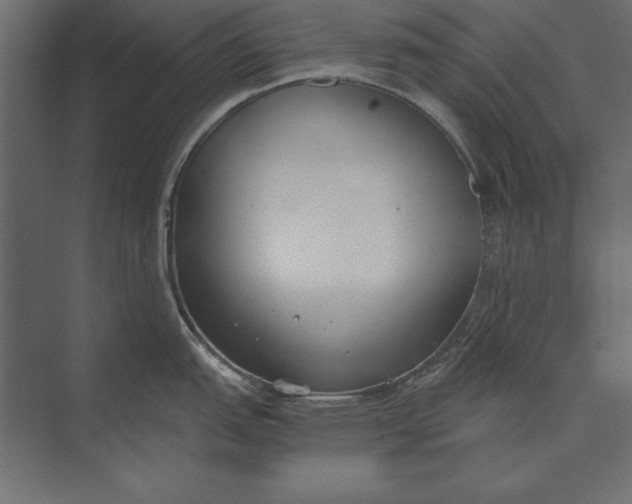 X0000073441151200608181206