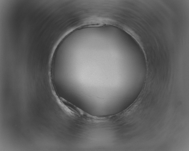 X0000073441152200608181206