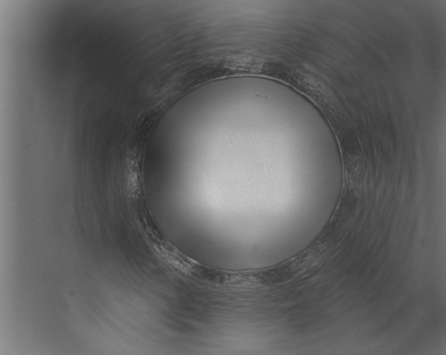 X0000073441154200608181205