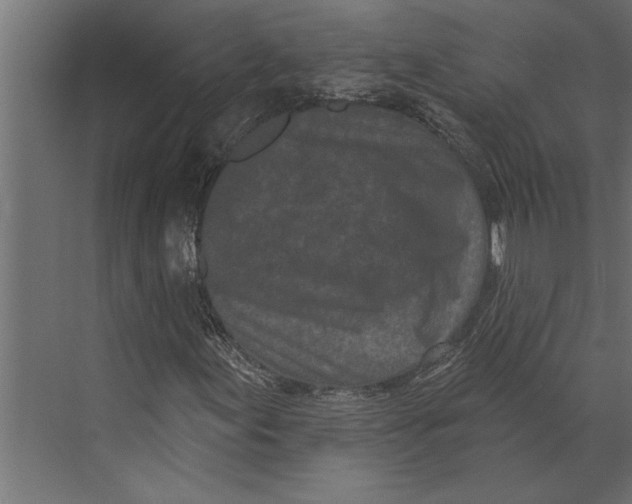 X0000073441155200608181205