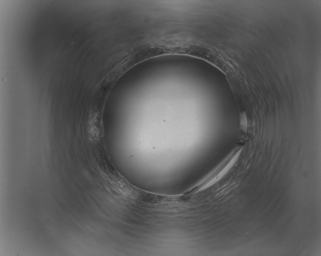 X0000073441156200608181205