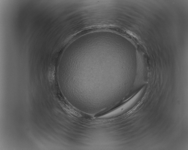 X0000073441161200608181205