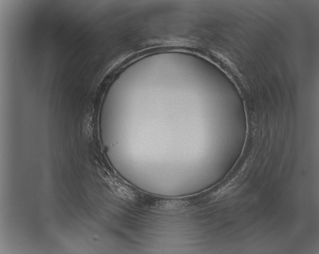 X0000073441163200608181205