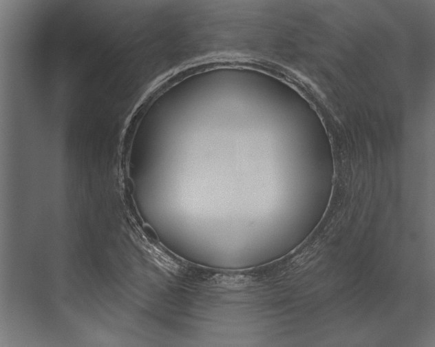 X0000073441168200608181205