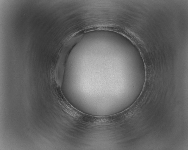 X0000073441169200608181205