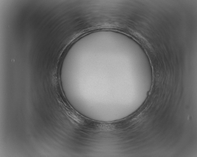 X0000073441170200608181205