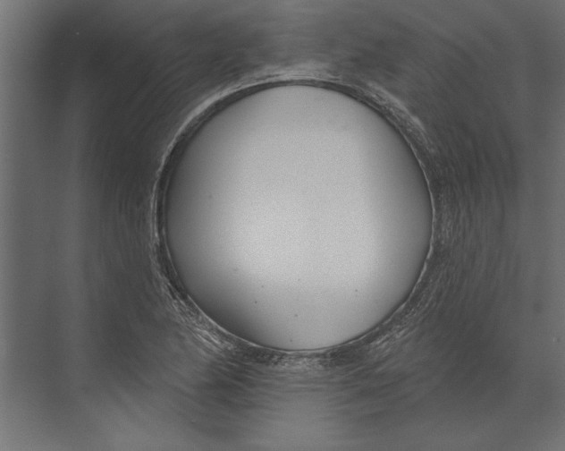 X0000073441174200608181205