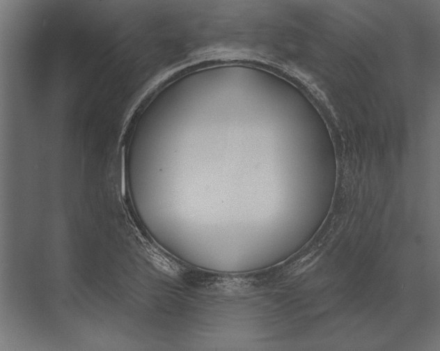 X0000073441175200608181205