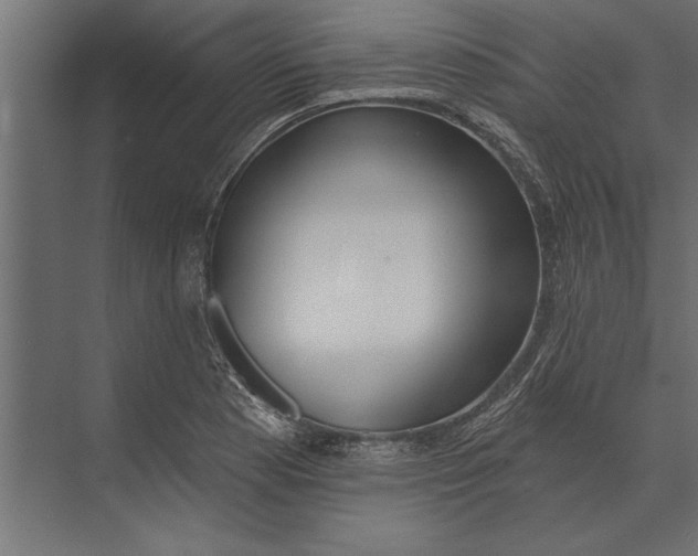 X0000073441177200608181205