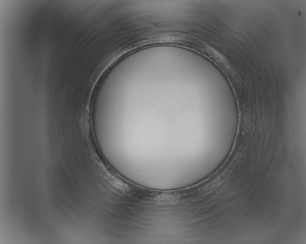 X0000073441178200608181205
