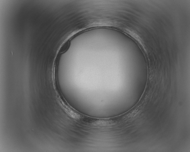X0000073441179200608181205