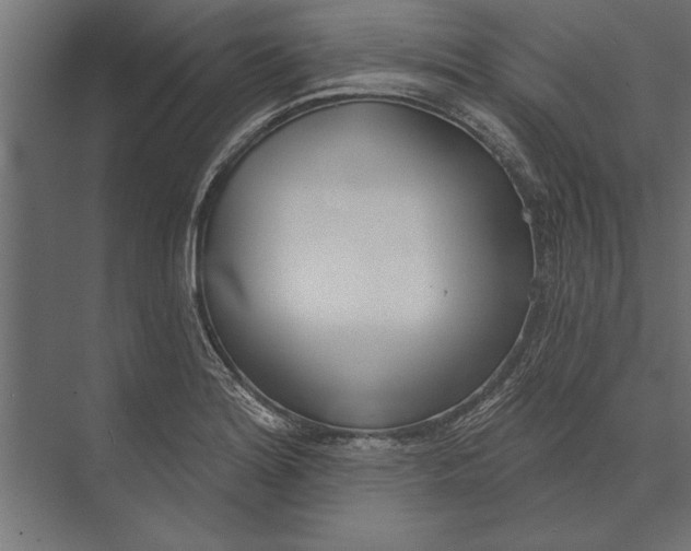 X0000073441180200608181205