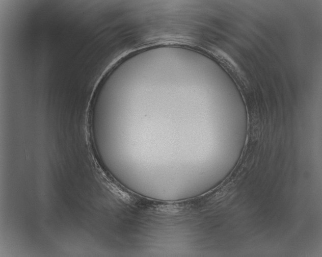 X0000073441182200608181205